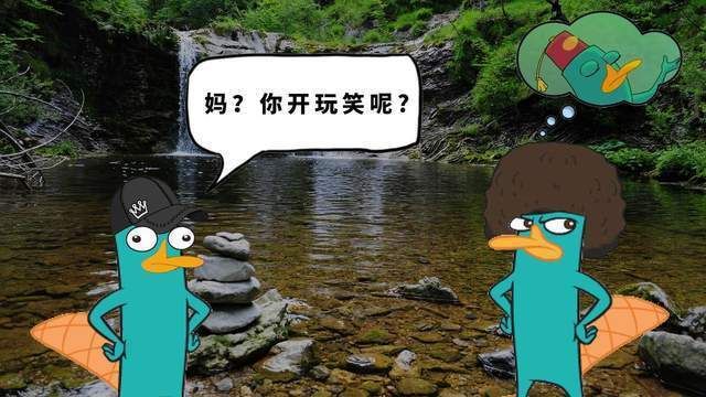 水體污染下鴨嘴魚種群動態(tài)：水體污染對鴨嘴魚種群的影響 其他寵物 第5張