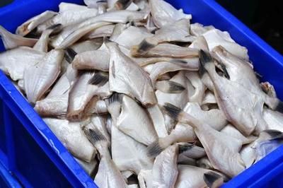 鯽魚飼料中添加微量元素的作用：探究鯽魚飼料中微量元素的添加及其作用 其他寵物 第5張