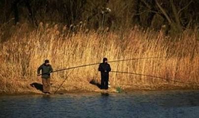 蘆葦叢釣魚最佳時段：蘆葦叢釣魚的最佳時段 其他寵物 第4張