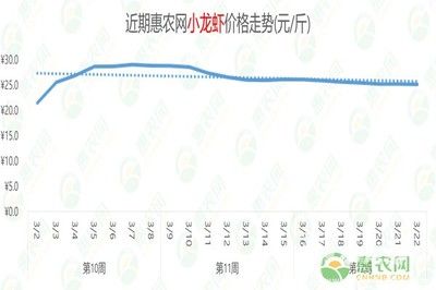 全國魚苗價格波動原因分析：全國魚苗價格波動受到多種因素影響魚苗質量檢測標準介紹 其他寵物 第5張