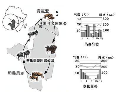 亞馬遜河魚類遷徙模式探究：亞馬遜河魚類遷徙對(duì)生態(tài)影響 其他寵物 第4張