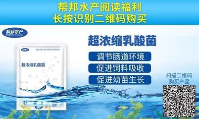 乳酸菌在魚苗飼料中的添加量：乳酸菌在魚苗飼料中的添加量通常為0.5-2% 其他寵物 第1張