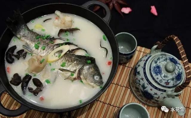 龍魚(yú)尾巴朝上還是朝下：如何訓(xùn)練龍魚(yú)學(xué)會(huì)控制尾巴 水族問(wèn)答 第1張