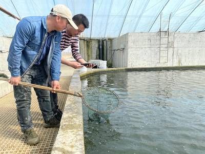 魚類養(yǎng)殖水質(zhì)監(jiān)測要點：無人機在魚類養(yǎng)殖中的作用 其他寵物 第4張