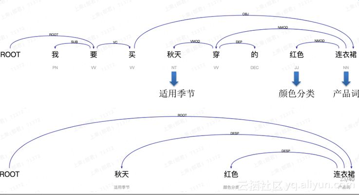 龍魚尾巴掉了能長出來嗎：龍魚尾巴掉下后能否再生 水族問答 第2張