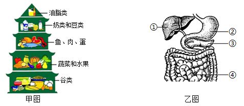 如何辨別魚的新陳代謝：關(guān)于魚的新陳代謝 其他寵物 第4張