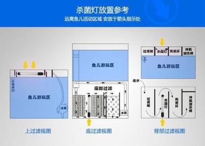 過濾設備維護周期指南：生成的50-200個字摘要：過濾設備維護周期指南 其他寵物 第4張