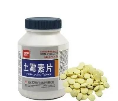 月光鴨嘴魚苗藥物敏感性測試：月光鴨嘴魚苗抗藥性研究，藥物敏感性測試的最新進(jìn)展 其他寵物 第2張