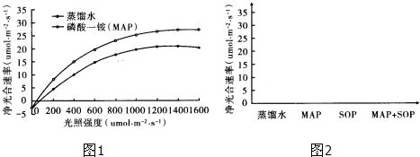 金魚(yú)最佳光照時(shí)間和強(qiáng)度：關(guān)于金魚(yú)的最佳光照時(shí)間和強(qiáng)度的信息，金魚(yú)的最佳光照時(shí)間和強(qiáng)度 其他寵物 第5張