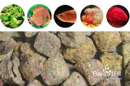 羅漢魚飼料添加劑的作用：如何科學搭配羅漢魚飼料添加劑 其他寵物 第2張