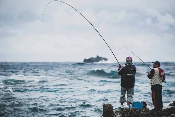 泰龐海鰱魚捕撈地點推薦：《漁帆暗涌》泰龐海鰱魚捕撈地點推薦 其他寵物 第5張