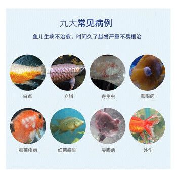 水族藥劑品牌對比分析：水族藥劑品牌對比 其他寵物 第5張