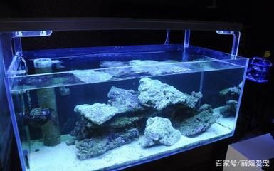 水族箱底沙消毒后處理：水族箱底沙消毒處理方案 其他寵物 第5張