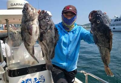 獐子島魚苗銷售渠道介紹：獐子島魚苗二級城市布局,漁家樂體驗如何推廣魚苗 其他寵物 第2張