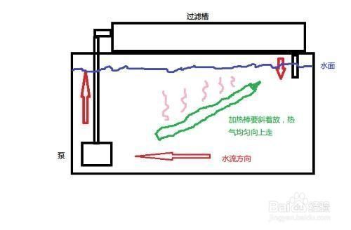 水族箱水溫異常處理方法：如何處理水族箱水溫異常的問題 其他寵物 第5張