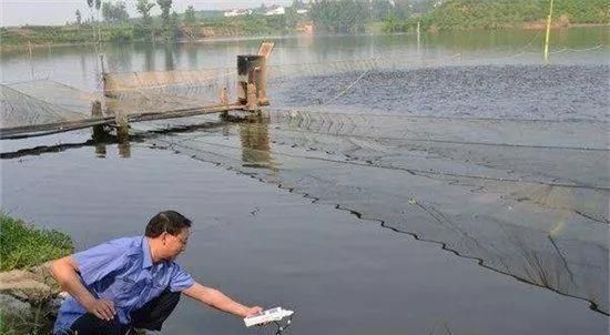 如何預(yù)防魚苗氨氮超標：預(yù)防魚苗氨氮超標