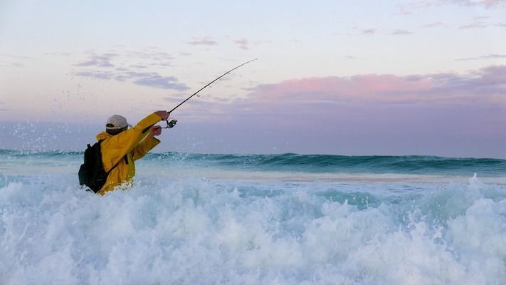 泰龐海鰱魚最佳養(yǎng)殖水溫：泰龐海鰱魚養(yǎng)殖水溫控制 其他寵物 第6張