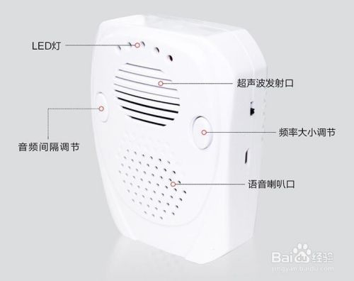 如何正確使用驅(qū)鯊器：如何正確使用驅(qū)鯊器，驅(qū)鯊器的安全使用注意事項 其他寵物 第4張