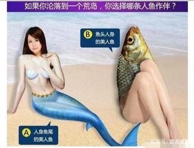 黑影道人魚營養(yǎng)需求研究：黑影道人魚的營養(yǎng)成分 其他寵物 第4張