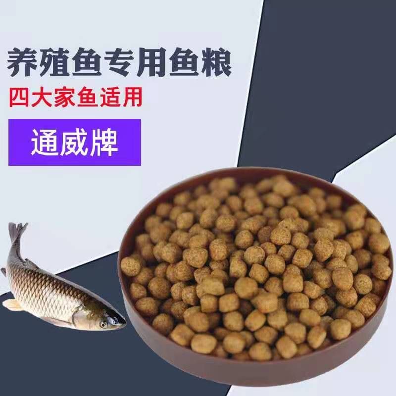 石斑魚飼料營養(yǎng)搭配：石斑魚的飼料營養(yǎng)搭配 其他寵物 第1張