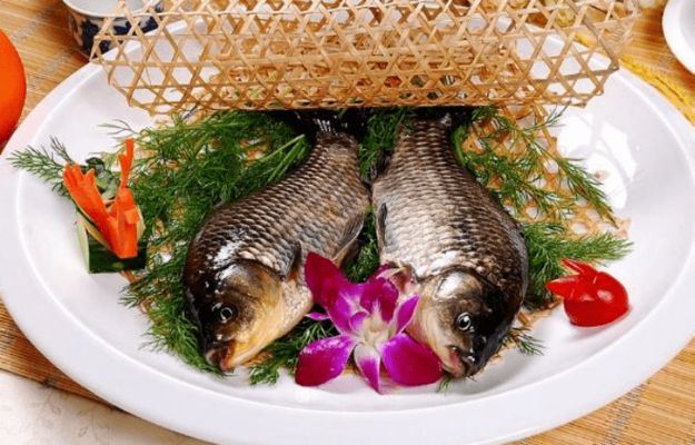 元寶鯽魚(yú)繁殖飼料搭配建議：元寶鯽魚(yú)繁殖期營(yíng)養(yǎng)需求，自配飼料與商品飼料對(duì)比