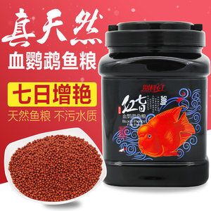 元寶鳳凰魚增色飼料效果：專為元寶鳳凰魚量身定制的艷寶糧，讓你的愛魚在健康上更上一層樓 其他寵物 第6張