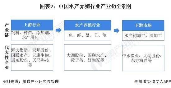 魚苗飼料添加劑的科學配比方法：魚苗飼料添加劑的科學配比方法包括以下幾個方面 其他寵物 第2張