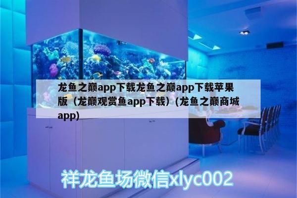 龍巔APP查詢(xún)教程視頻：使用龍巔app查詢(xún)芯片的基本步驟 其他寵物 第1張