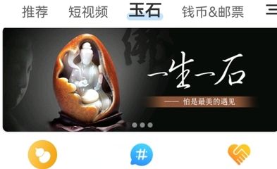 龍巔APP查詢(xún)教程視頻：使用龍巔app查詢(xún)芯片的基本步驟 其他寵物 第3張