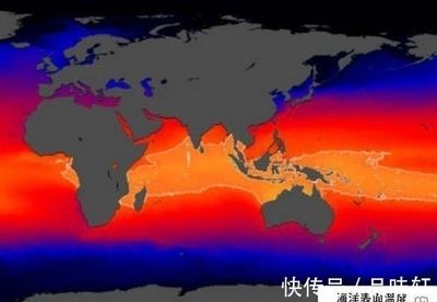 亞馬遜河流域國際合作模式：亞馬遜河流域國際合作模式促進區(qū)域可持續(xù)發(fā)展至關(guān)重要 其他寵物 第5張