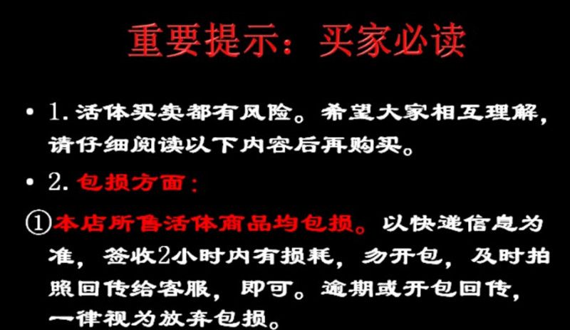 購買帝王血鉆的法律風險：購買帝王血鉆可能涉及法律風險 其他寵物 第1張