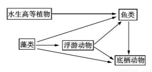 水生植物對(duì)富營養(yǎng)化的控制效果：水生植物在富營養(yǎng)化控制中的作用 其他寵物 第4張