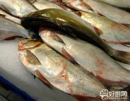 泰龐海鰱魚飼料營養(yǎng)成分：泰龐海鰱魚飼料品牌推薦 其他寵物 第4張