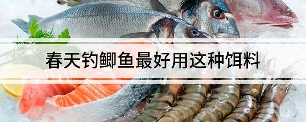 夏季素食魚(yú)餌推薦：夏季素食魚(yú)餌制作方法 其他寵物 第5張