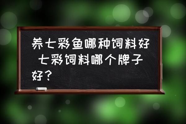 野彩魚飼料選擇與搭配：如何為野彩魚選擇和搭配出合適的飼料，野彩魚飼料品牌推薦 其他寵物 第5張