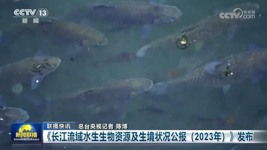 長江土著魚類保護措施：長江土著魚類保護法規(guī)解讀 其他寵物 第3張