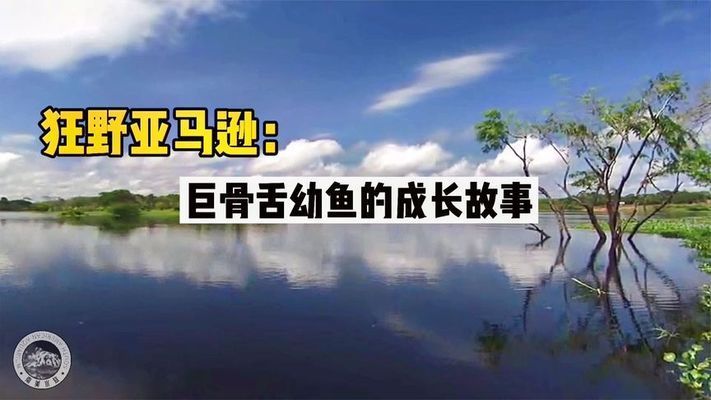 亞馬遜河流大型魚類對(duì)幼魚影響：亞馬遜河大型魚類對(duì)幼魚的影響