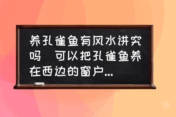 孔雀魚提升運勢的方法：如何通過飼養(yǎng)孔雀魚來提升個人或家庭的運勢 其他寵物 第3張