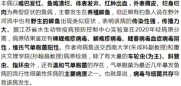 紅頭利魚爛鰓病的早期診斷：紅頭利魚爛鰓病的早期診斷可以通過觀察魚的行為和外觀變化來進(jìn)行 其他寵物 第3張