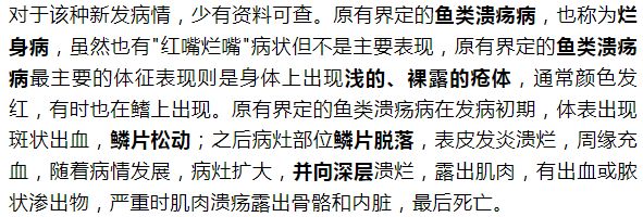 紅頭利魚爛鰓病的早期診斷：紅頭利魚爛鰓病的早期診斷可以通過觀察魚的行為和外觀變化來進(jìn)行 其他寵物 第4張