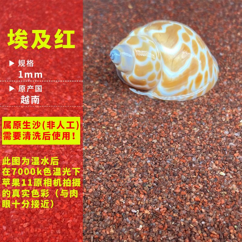 水族箱底沙清潔方法：水族箱底沙的清潔對(duì)于維護(hù)水質(zhì)和魚(yú)類(lèi)健康至關(guān)重要 其他寵物 第6張