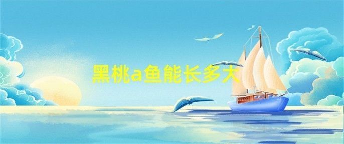 黑桃A魚繁殖期間如何保持水流：黑桃a魚繁殖期間保持水流對于魚類生長和健康至關(guān)重要 其他寵物 第5張