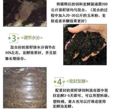 星鉆魚繁殖期飼料保存技巧：星鉆魚繁殖期營養(yǎng)需求分析