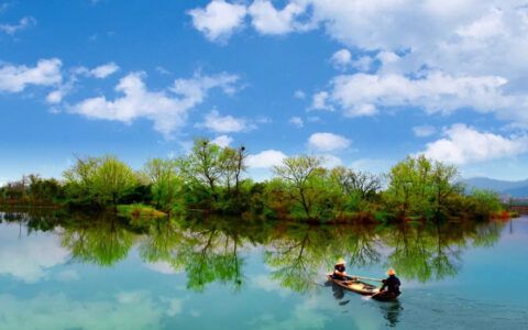 塘鲺魚苗防凍害增溫措施效果：冬季養(yǎng)殖塘鲺魚苗防凍害增溫措施及其效果分析 其他寵物 第1張