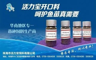 黑桃A魚苗飼料添加劑作用：黑桃a魚苗飼料添加劑使用指南 其他寵物 第3張