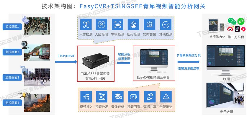 銀魚(yú)苗行業(yè)AI應(yīng)用案例：深入探討銀魚(yú)苗行業(yè)ai應(yīng)用的成功案例 其他寵物 第2張