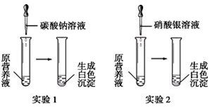 硝酸銀溶液的配制方法：硝酸銀溶液的制作方法 其他寵物 第6張