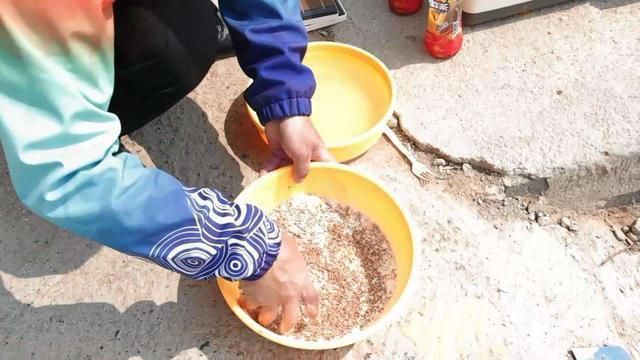 魚苗飼料防潮小妙招：魚苗飼料防潮小妙招，有效防止魚苗在飼料中受潮變質(zhì) 其他寵物 第4張