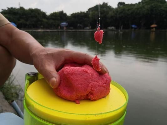 魚苗飼料防潮小妙招：魚苗飼料防潮小妙招，有效防止魚苗在飼料中受潮變質(zhì)