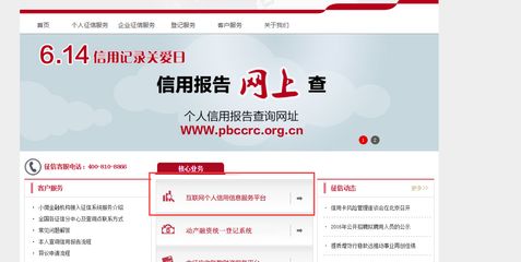 如何在線申請(qǐng)信用報(bào)告：中國(guó)人民銀行征信中心在線申請(qǐng)信用報(bào)告的詳細(xì)步驟和注意事項(xiàng) 其他寵物 第4張